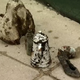 Image for article titled Where is Penn and Teller's Missing Time Capsule (and What's With the Urinal Chunk They Found)?